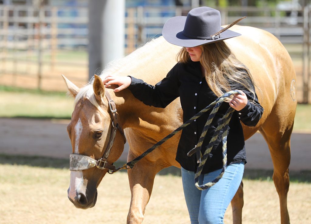 Enter the NBHA Colonial Super Show Now! National Barrel Horse Association