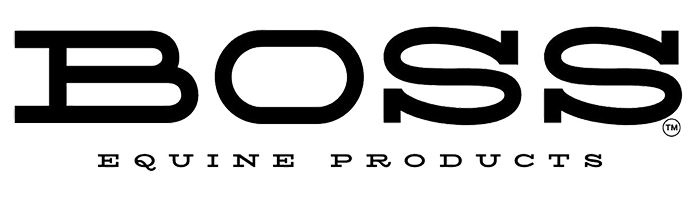 BOSS Logo-web