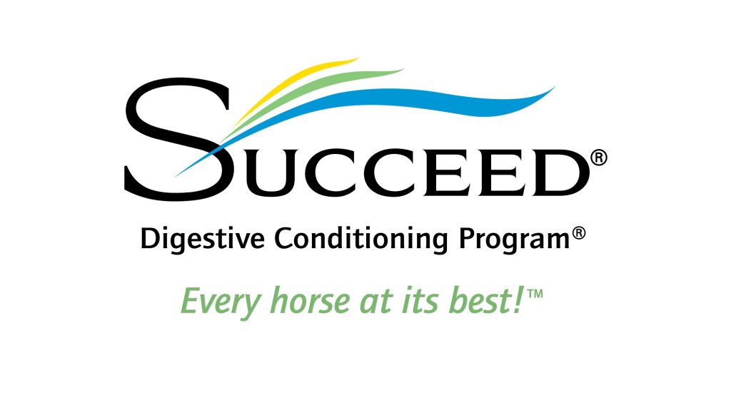 Suceed-Logo-and-new-nonscript-tag-COLOR-1024x585