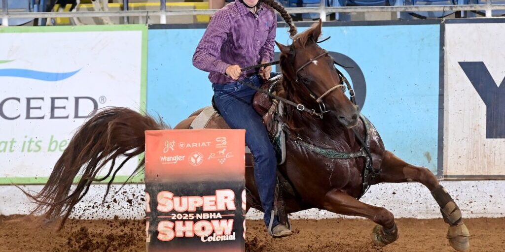 Rodeo